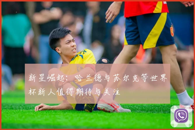 新星崛起：哈兰德与苏尔克等世界杯新人值得期待与关注