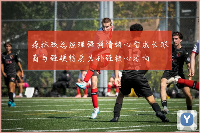 森林狼总经理强调情绪心智成长球商与强硬特质为补强核心方向